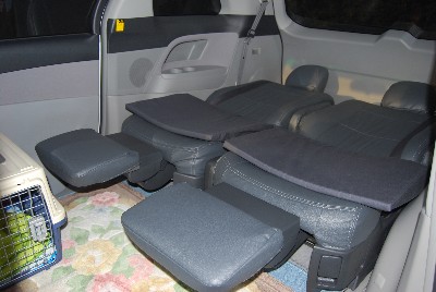 �V�^�G�X�e�B�}�@de Enjoy�@�Ԓ���