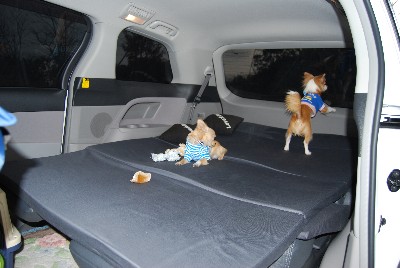 �V�^�G�X�e�B�}�@de Enjoy�@�Ԓ���