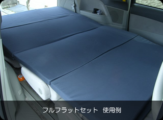 �V�^�G�X�e�B�}�L�����s���O�J�[�ň��S�Ԓ����I