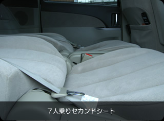 �V�^�G�X�e�B�}�L�����s���O�J�[�ň��S�Ԓ���