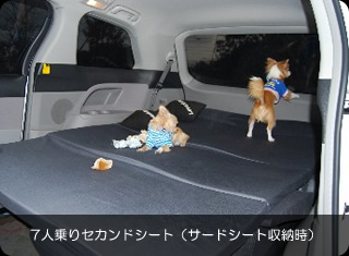 �V�^�G�X�e�B�}�L�����s���O�J�[�ň��S�Ԓ���