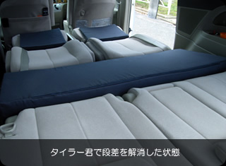 �V�^�G�X�e�B�}�L�����s���O�J�[�ň��S�Ԓ���