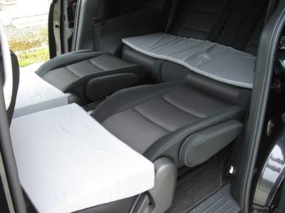 �V�^MPV�@de Enjoy�@�Ԓ���