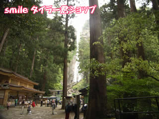 ������l�Ԓ����̗�