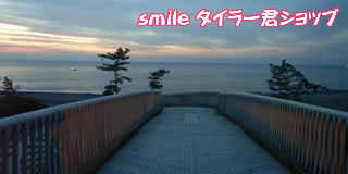 ������l�Ԓ����̗�