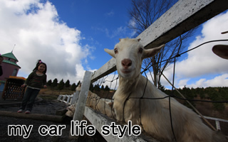 �x�m���A�T���Ԓ������s