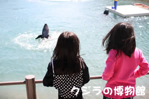 ������̔�����